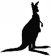 Kangaroo